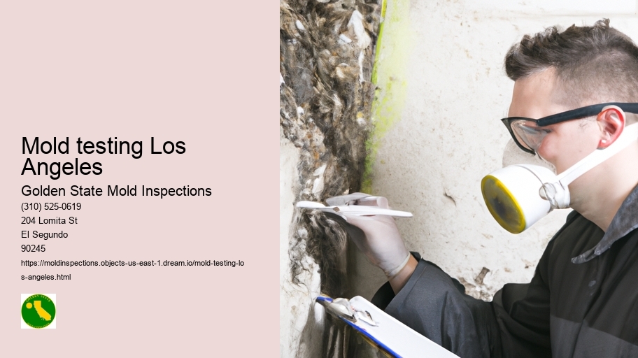 Mold testing Los Angeles